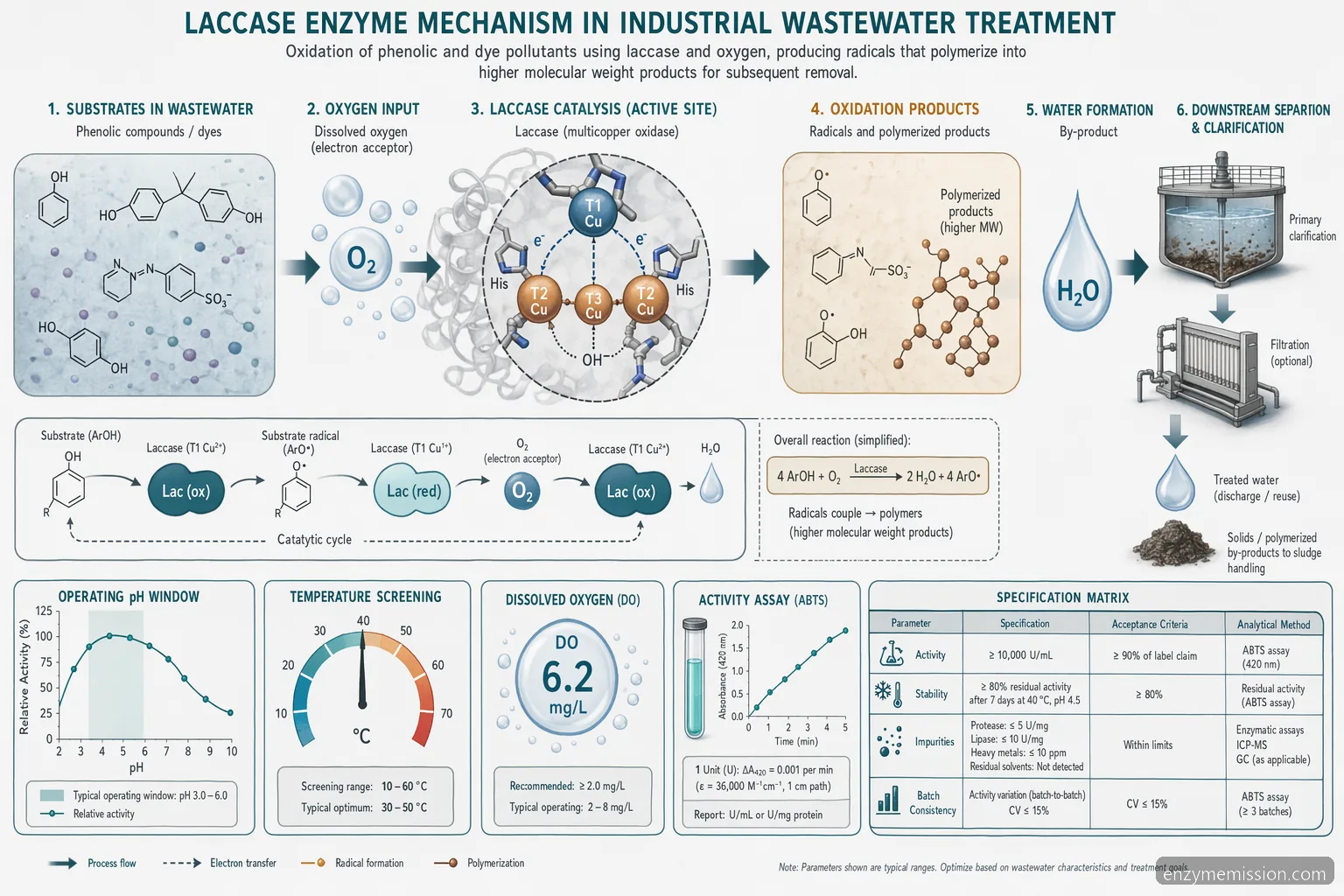 laccase enzyme wastewater mechanism diagram showing oxidation of dyes with pH, temperature, oxygen, and assay callouts